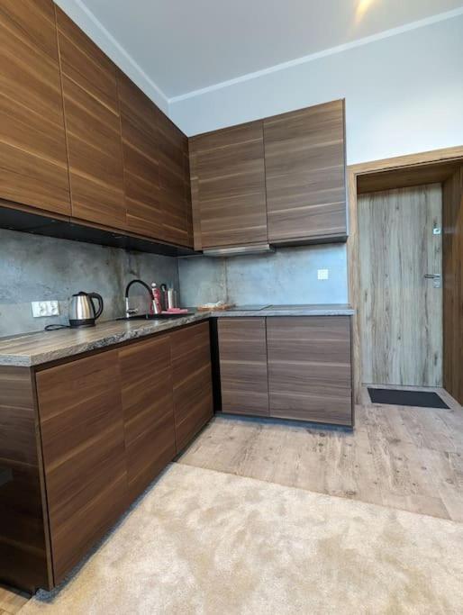 Apartment A4 In Downtown Of 克拉科夫 外观 照片